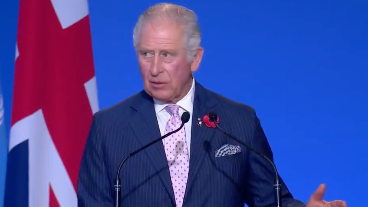 Prince Charles Calls for 'Vast Military-style Campaign' Needed for Global 'Fundamental Economic Transition'