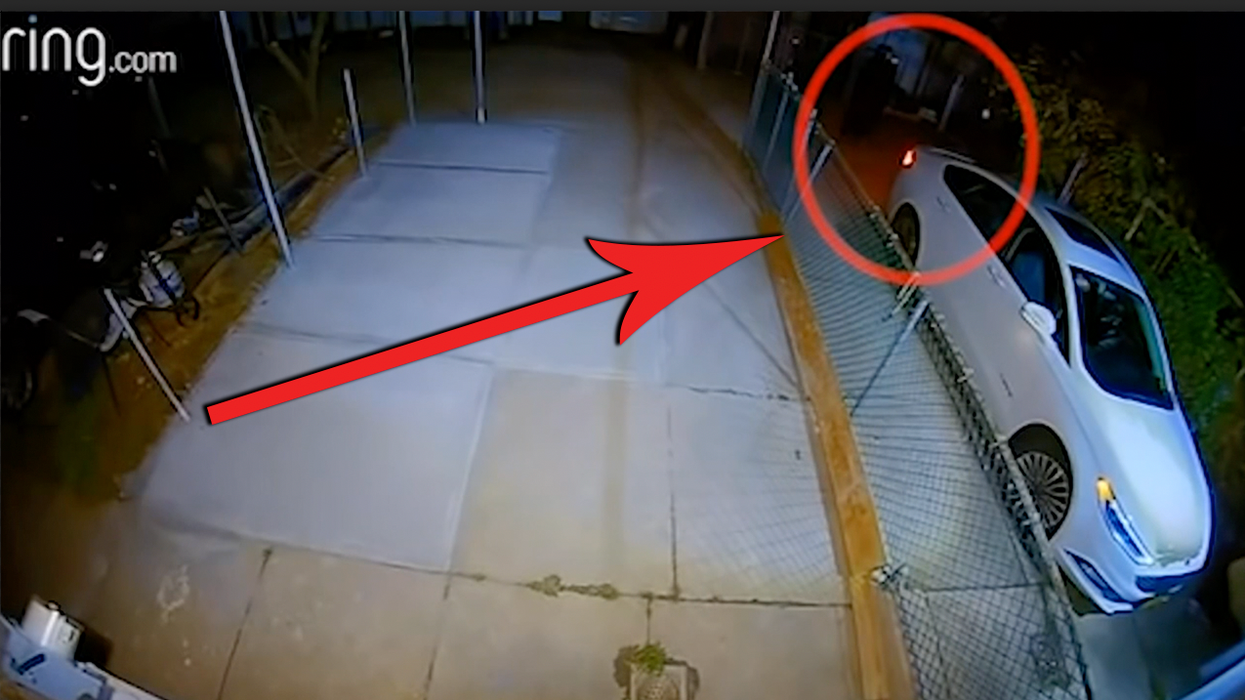 Watch: Armed Goons Attempt to Mug a Delivery Driver, but the Driver's a Concealed Carrier and a Better Shot