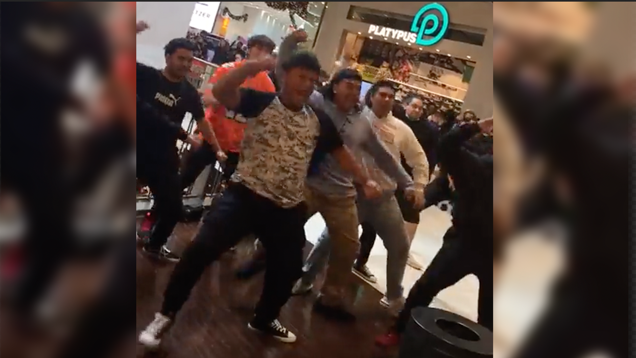 New Zealanders Perform Traditional (and Bad A**) Dance to Tell Government Where to Stick Their Mandates