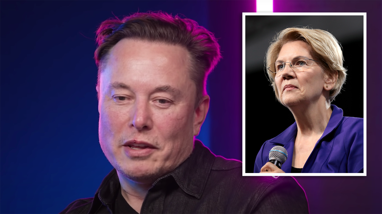 Elon Musk Fires His Harshest Shot at Elizabeth Warren Yet AND Has Jordan Peterson Come to His Defense