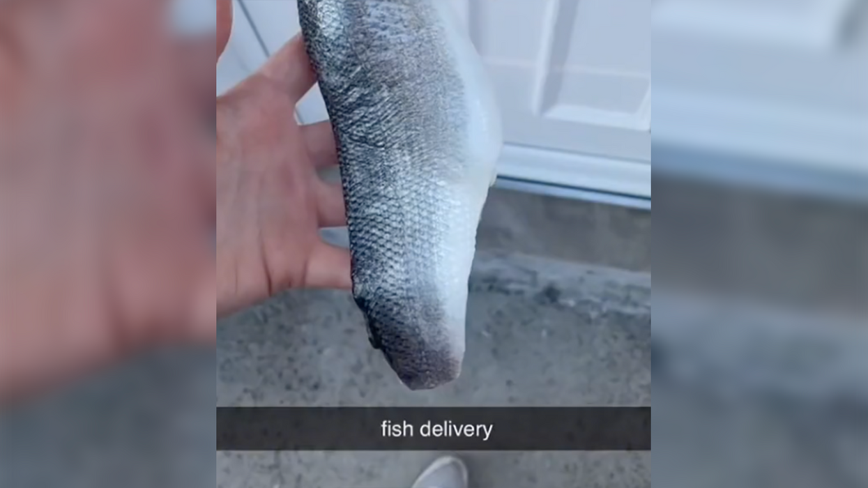 TikToker Stuffs a Fish Into Her Ex-boyfriend’s Mailbox Every Day: 'I Want to Make Him Miss Me...’