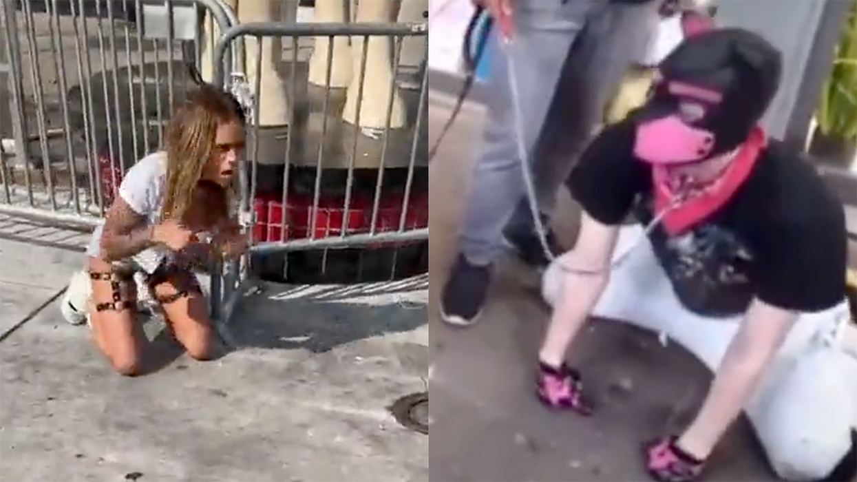 Watch: Weirdos Crawl Around on Leashes, Act Like Dogs in Public Like It's Normal Behavior