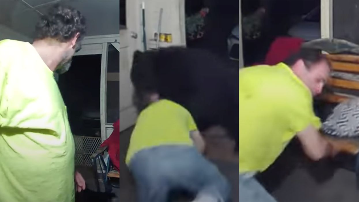 Video Catches Man Fighting Off Black Bear to Save His Dogs