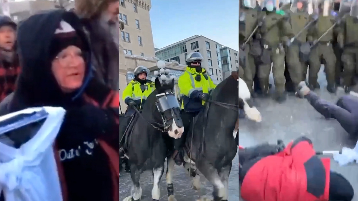 Watch: Canadian Cops on Horseback (Allegedly) Trample Old Lady on Mobility Scooter, Claim Someone Threw Bike
