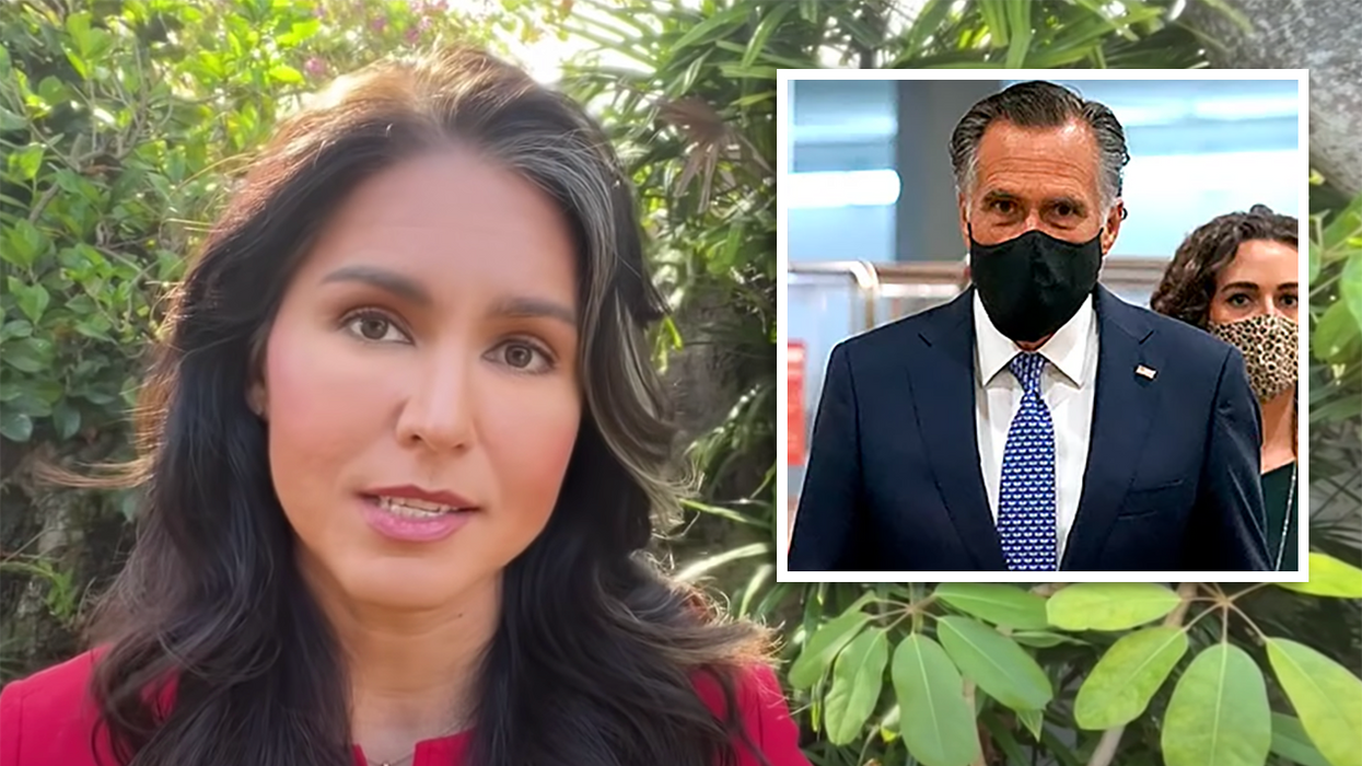 Tulsi Gabbard Unloads on Mitt Romney: Apologize for Calling Me 'Treasonous', or STFU and Resign