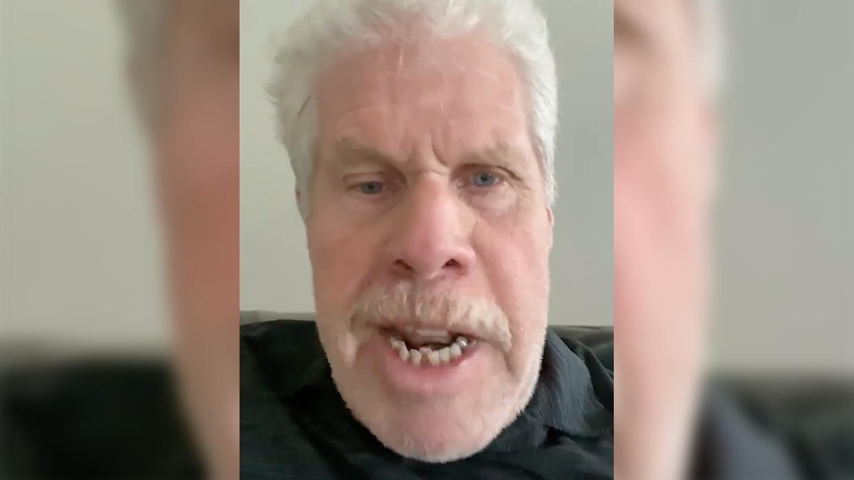 'Sons of Anarchy' Actor Has Vulgar Meltdown, Calls Ron DeSantis 'Nazi Pig' Over Bill That Does Not Exist