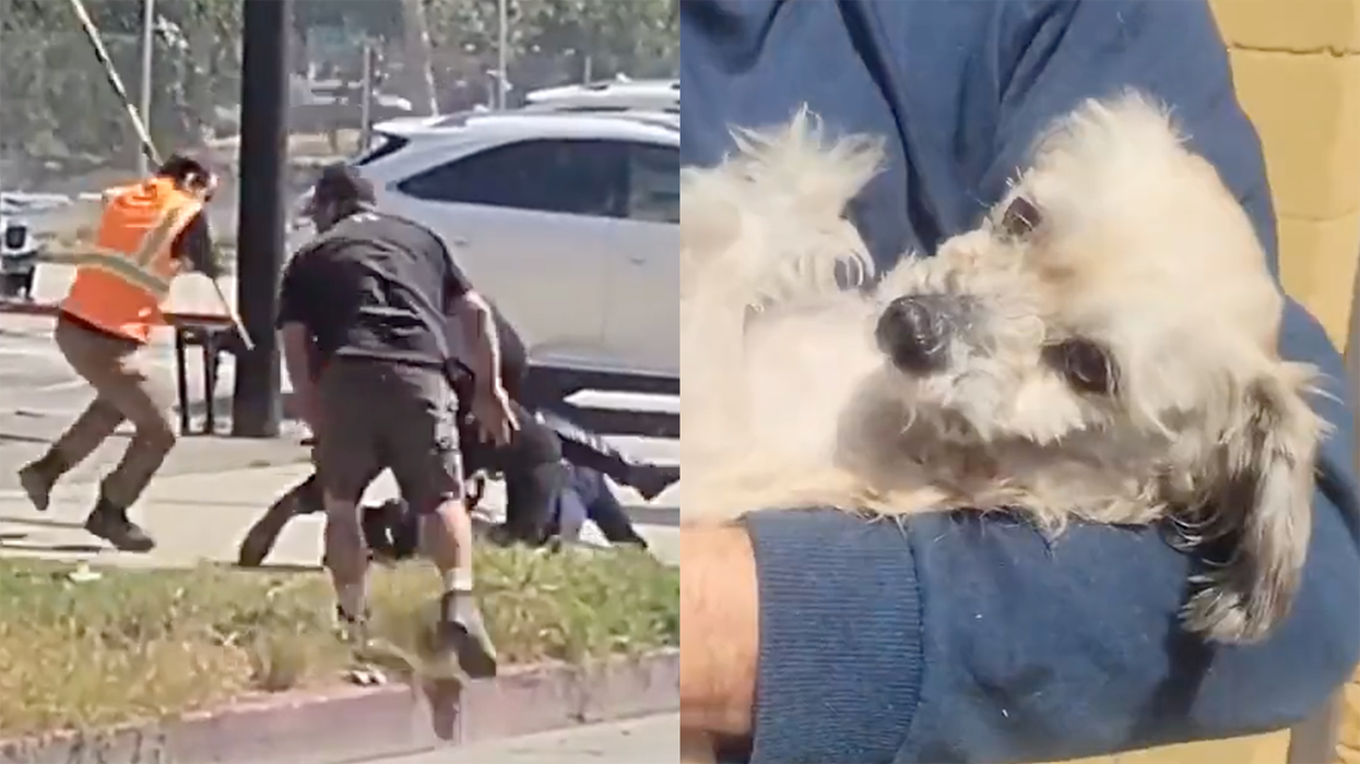 Watch: Mob swarms and beats down man who was abusing small dog, man claims the dog "disrespected him first"