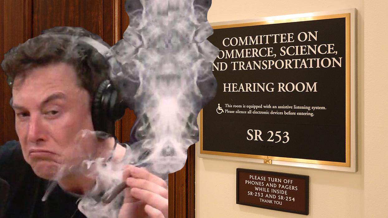 Senate Dems Demand Elon Musk Hearing to Explain His Intentions for Twitter, Free Speech