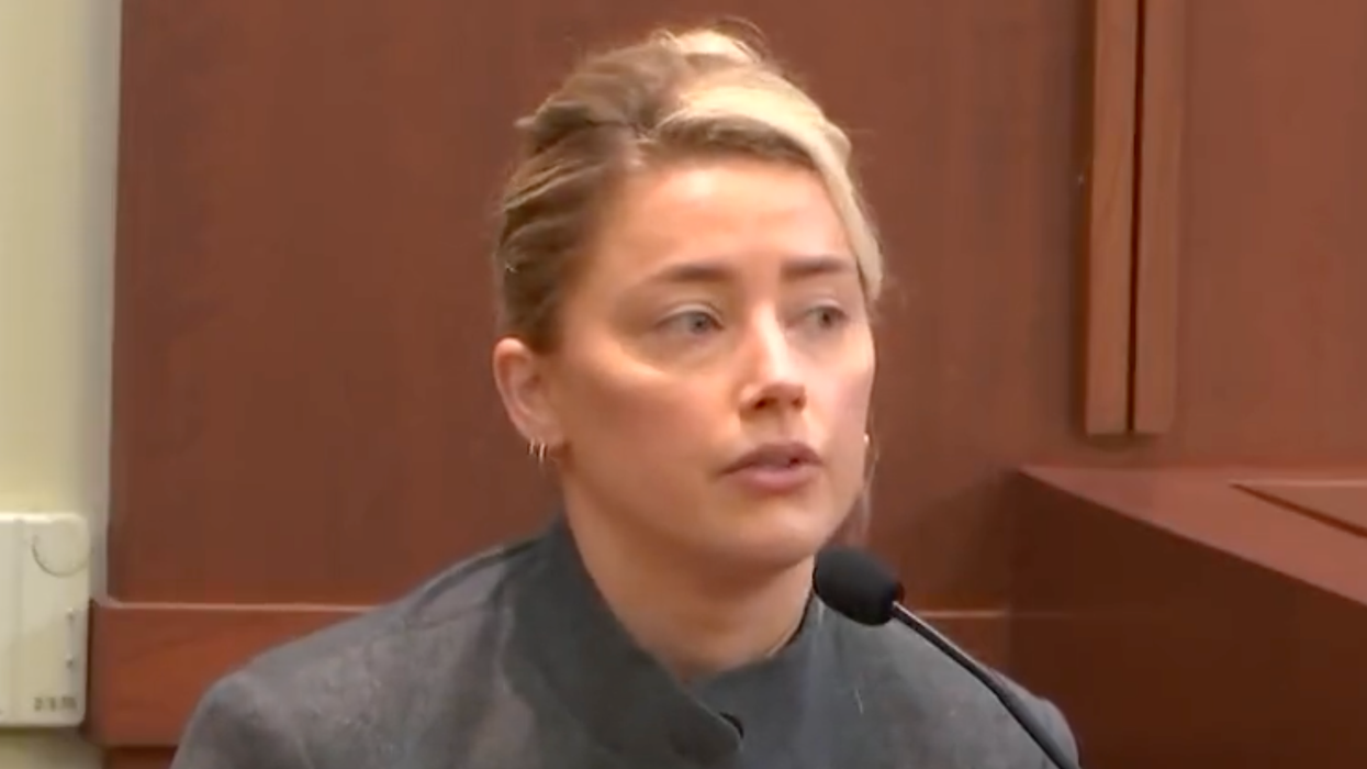 Amber Heard Finally Addresses Poop Incident, Insists It Was One of the Dogs After the Dog Ate Weed