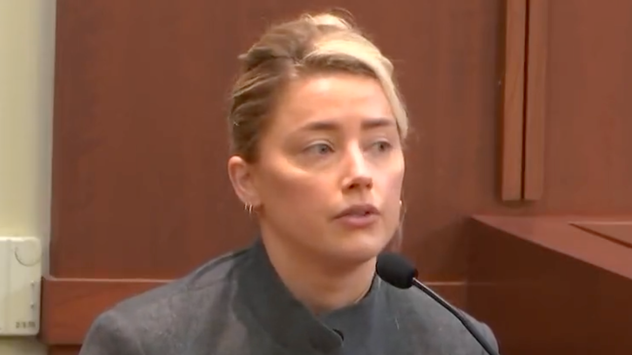 Amber Heard Finally Addresses Poop Incident, Insists It Was One of the Dogs After the Dog Ate Weed