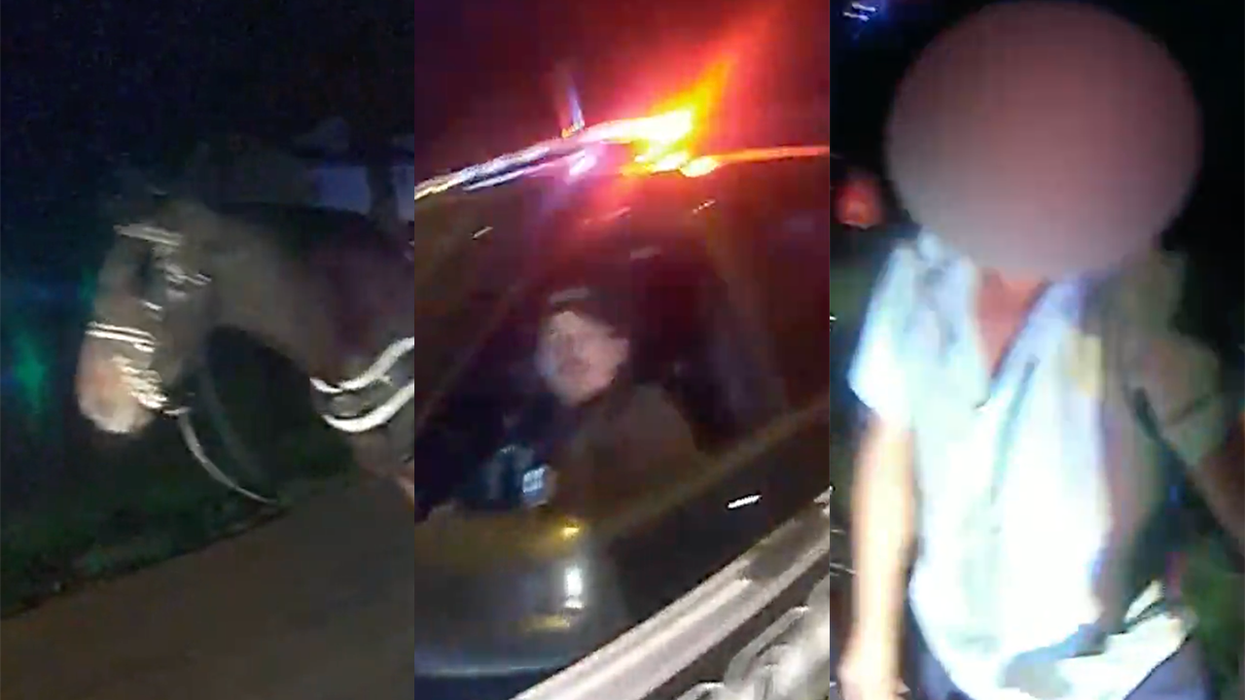 'Hey, Stop Your Horse': Hysterical Bodycam Footage Captures Drunk Amish Guy Passed Out in a Buggy, Arrested