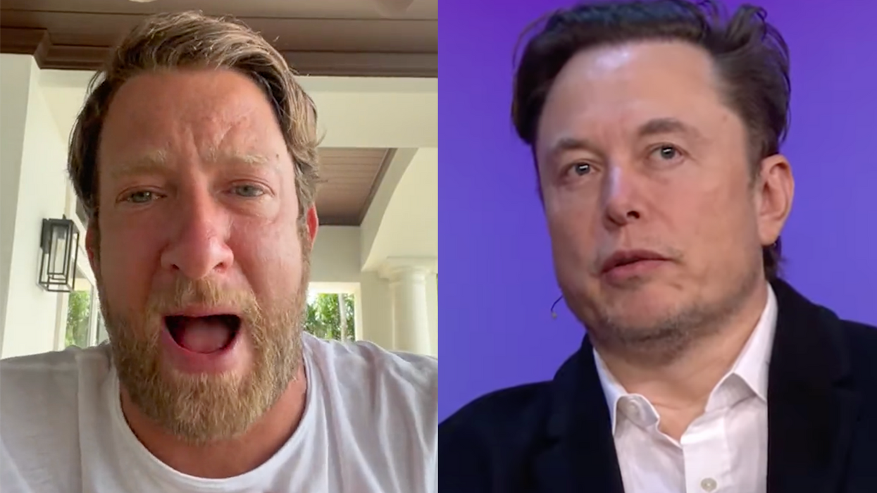 'They Set Out to Destroy Him': Dave Portnoy Speaks Out in Elon Musk's Defense Over Business Insider Hit Piece