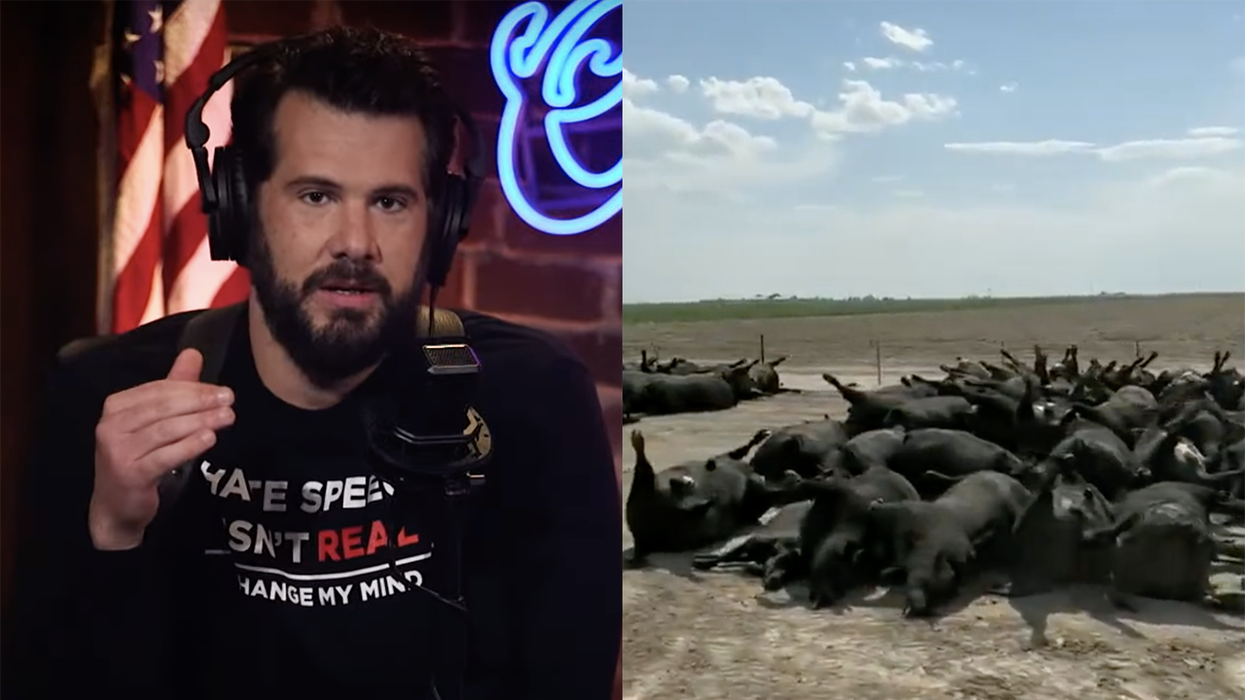 Why Are Thousands of Cows Dropping Dead in Kansas?