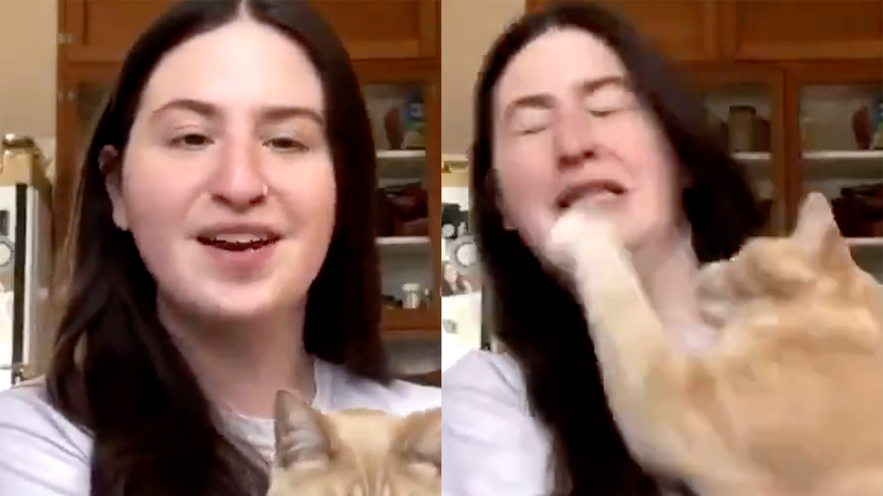 TikToker Virtue Signals Over Pronouns, Gets Slapped Across the Face by Her Cat for Doing So