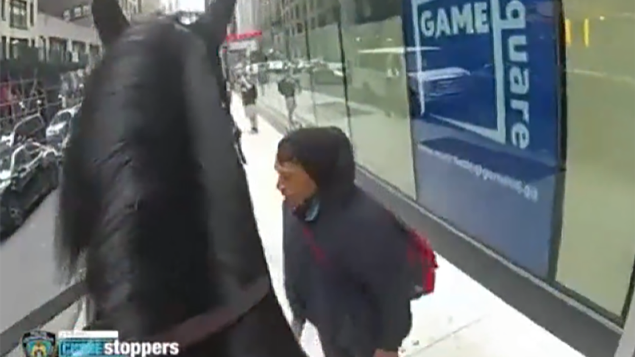 Watch: Idiot Thief Attempts to Outrun Mounted Police Officer, Fails in Epic Fashion