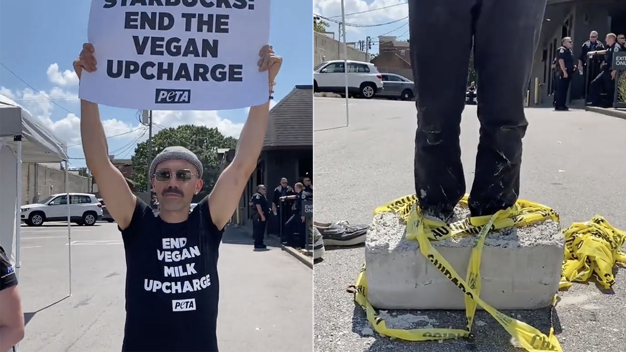Watch: The vegans are at it again, cementing themselves outside Starbucks over the cost of fake milk