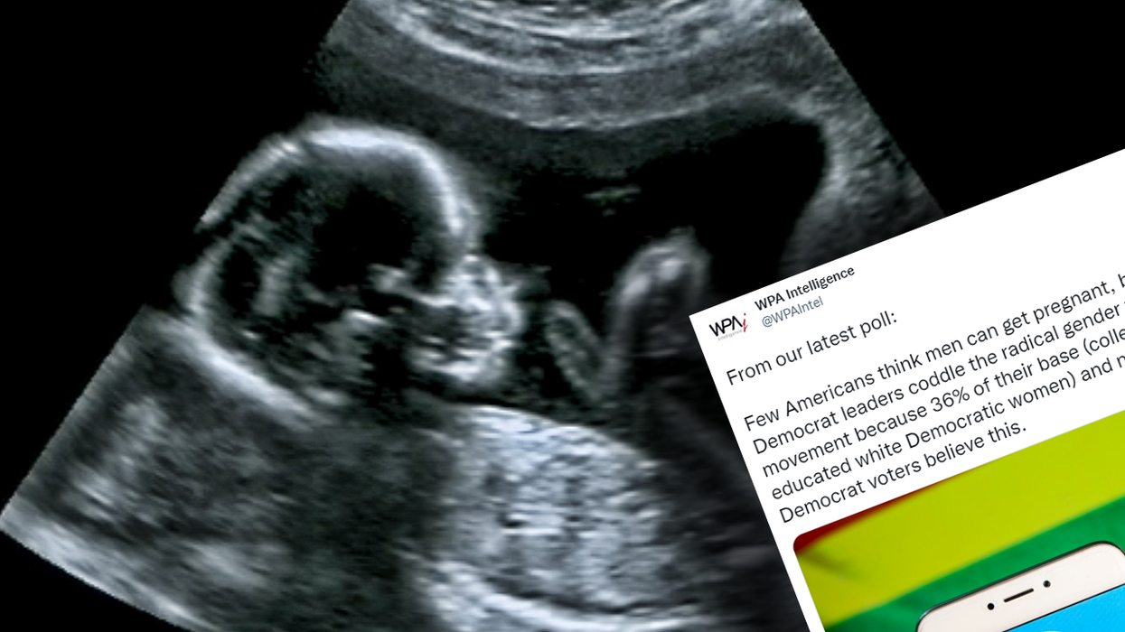 New poll shows a not-insignificant number of Democrats believe men... can get pregnant