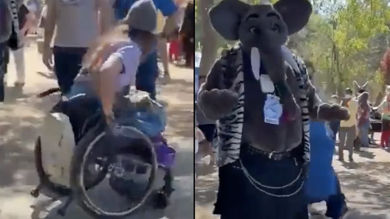Watch: Trans man in a wheelchair gets into a fight at a furry convention and I don't know whose side I'm on