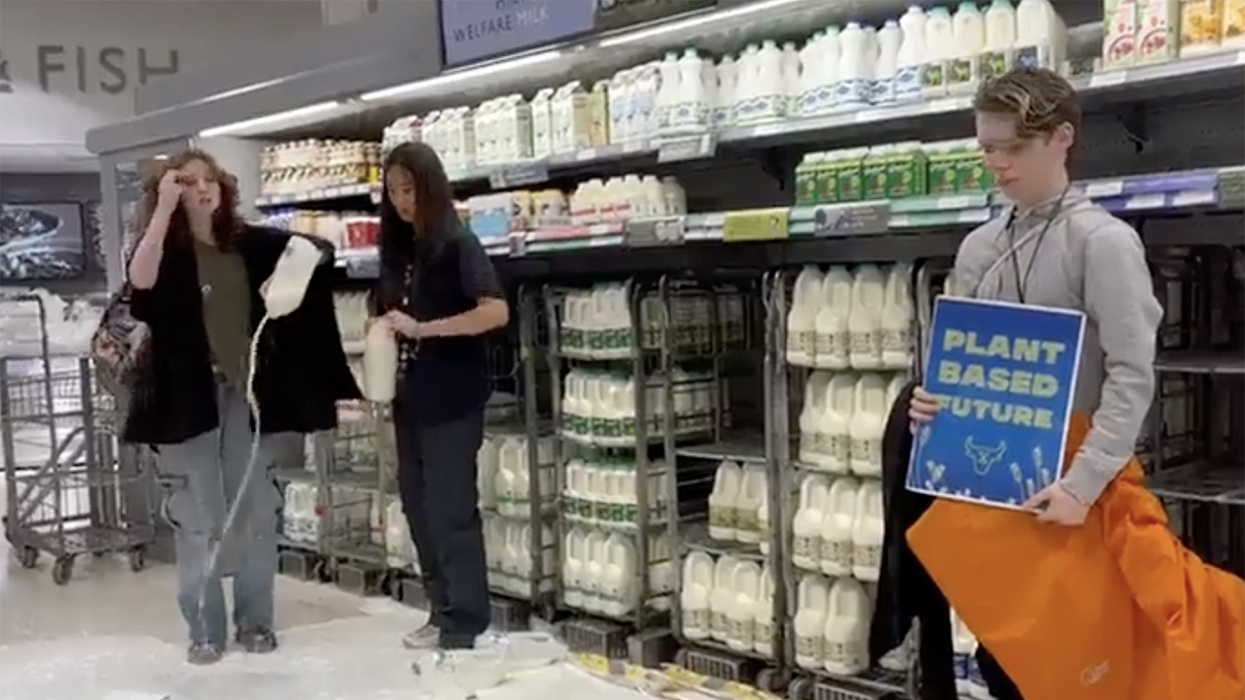 Watch: Leftists pour milk on the floor because leftists are serious people who demand you take them seriously