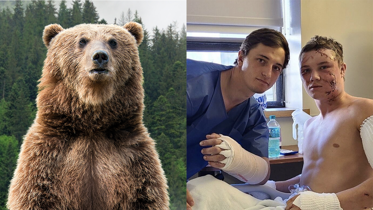College wrestling bros get mauled by grizzly bear, live to wrestle again with a badass photo as a souvenir
