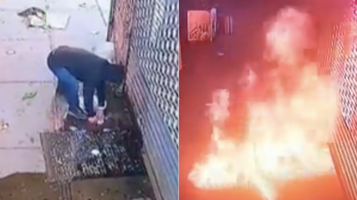 Watch: Dinkus tries burning down restaurant for getting his Indian food order wrong, sets himself on fire instead
