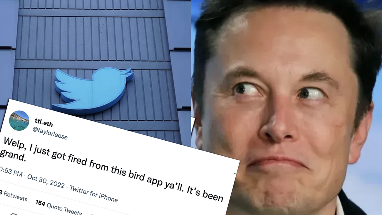 Former Twitter director lashes out at being fired while Elon Musk drops hint why so many will be let go