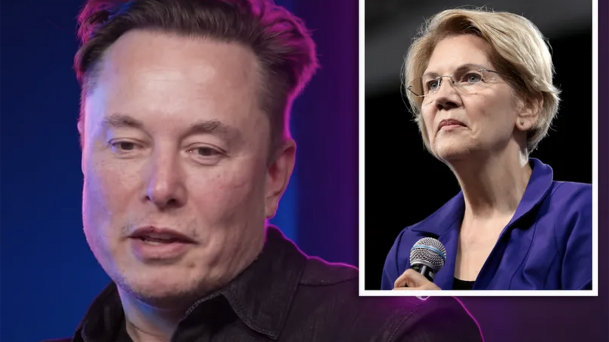 Progressive "Karen" lashes out at Elon Musk calling Elizabeth Warren "Karen," but there's a hilarious twist