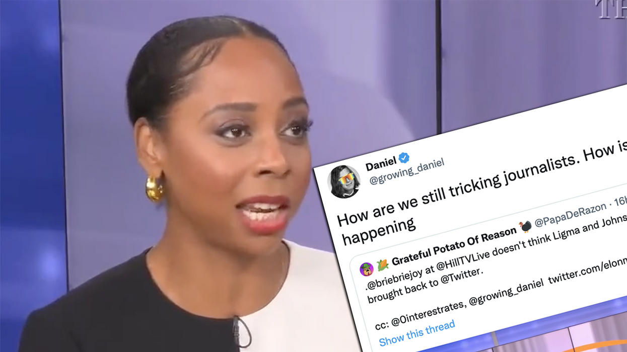 Watch: Another journalismer falls for crude 'Ligma Johnson' joke in attempt to bash Elon Musk