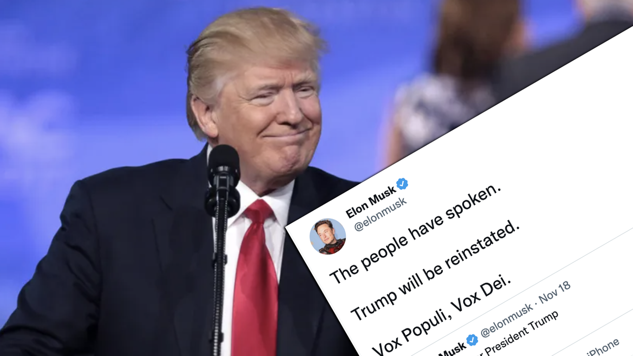Elon Musk reinstates Trump on Twitter and the left's having a hissyfit even before Trump's first tweet back