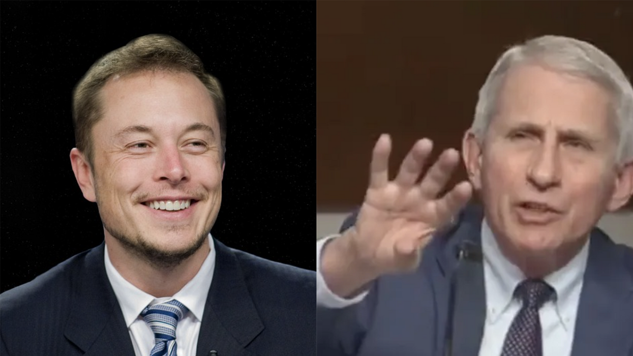 Elon Musk slaughters another progressive sacred cow, declares his new preferred anti-Fauci pronouns