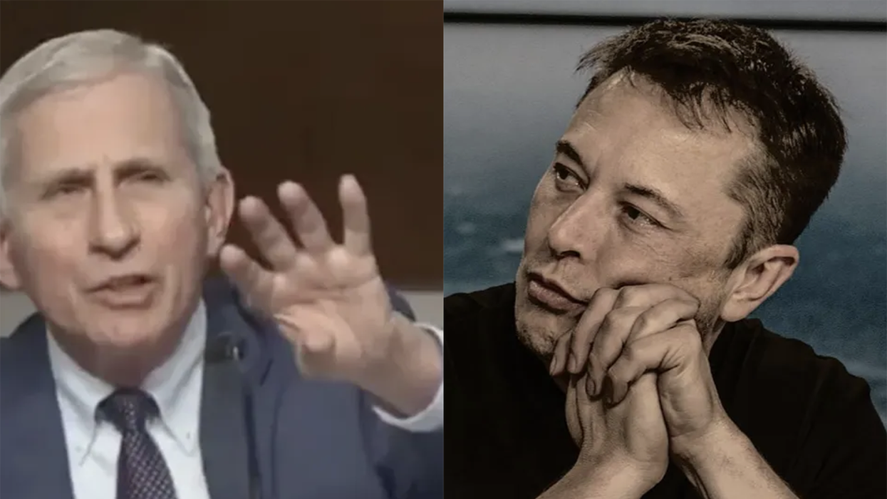 Elon Musk confirms "prosecute Fauci" was a preview of new information he'll be releasing