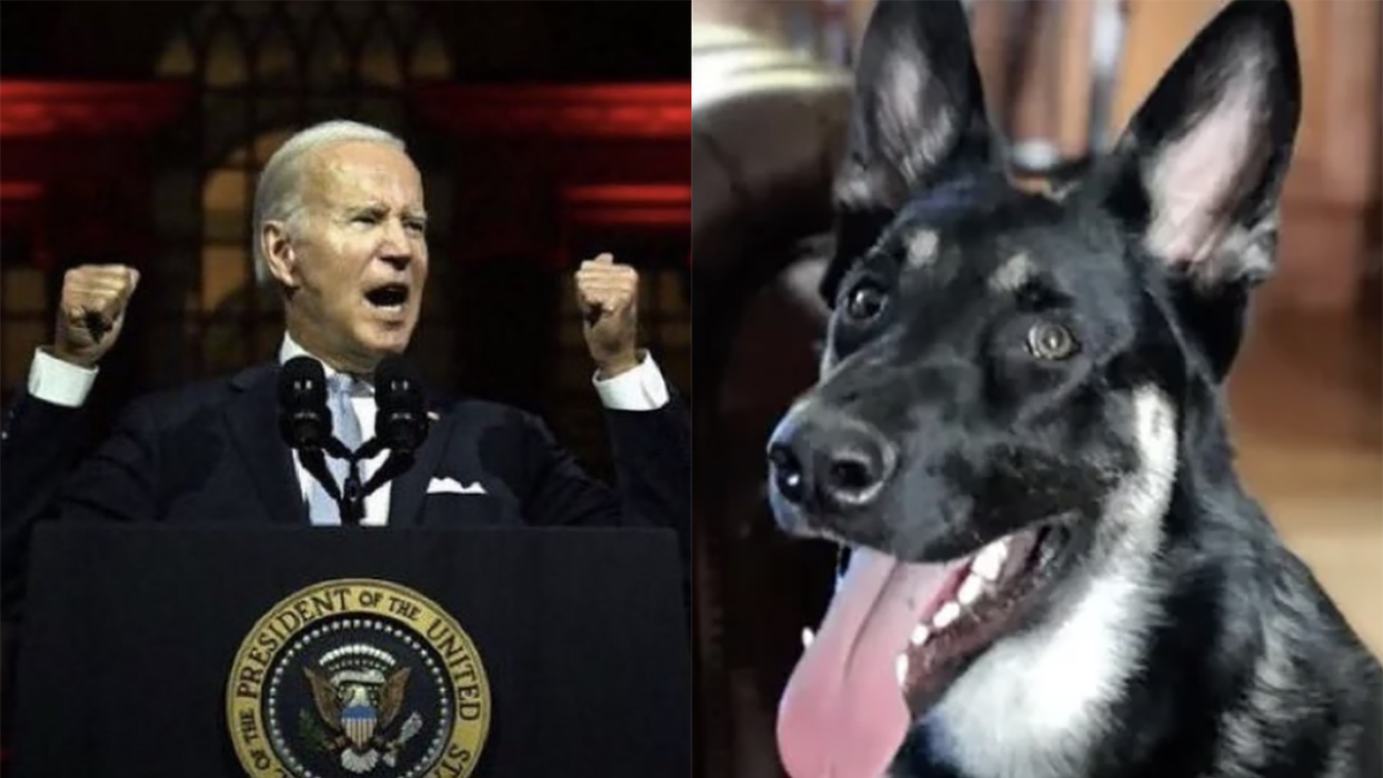 Joe Biden claims 'MAGA sympathizing' secret service agents lied about his dog biting them: Report