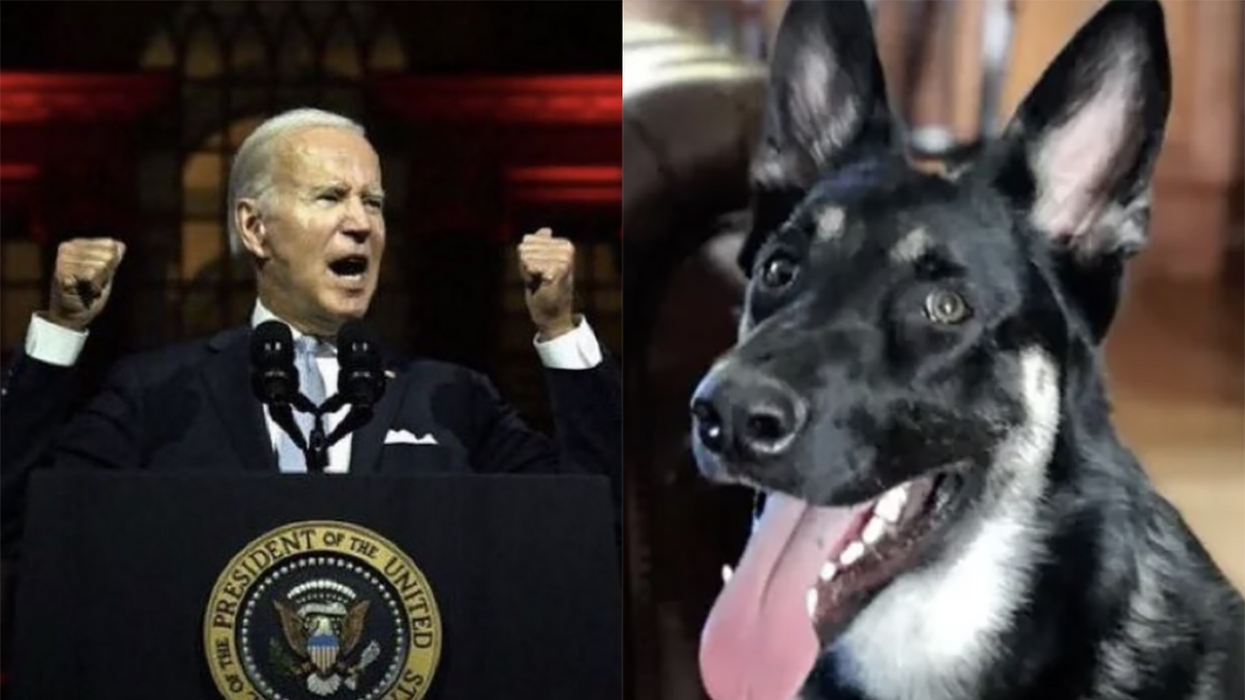 Joe Biden claims 'MAGA sympathizing' secret service agents lied about his dog biting them: Report