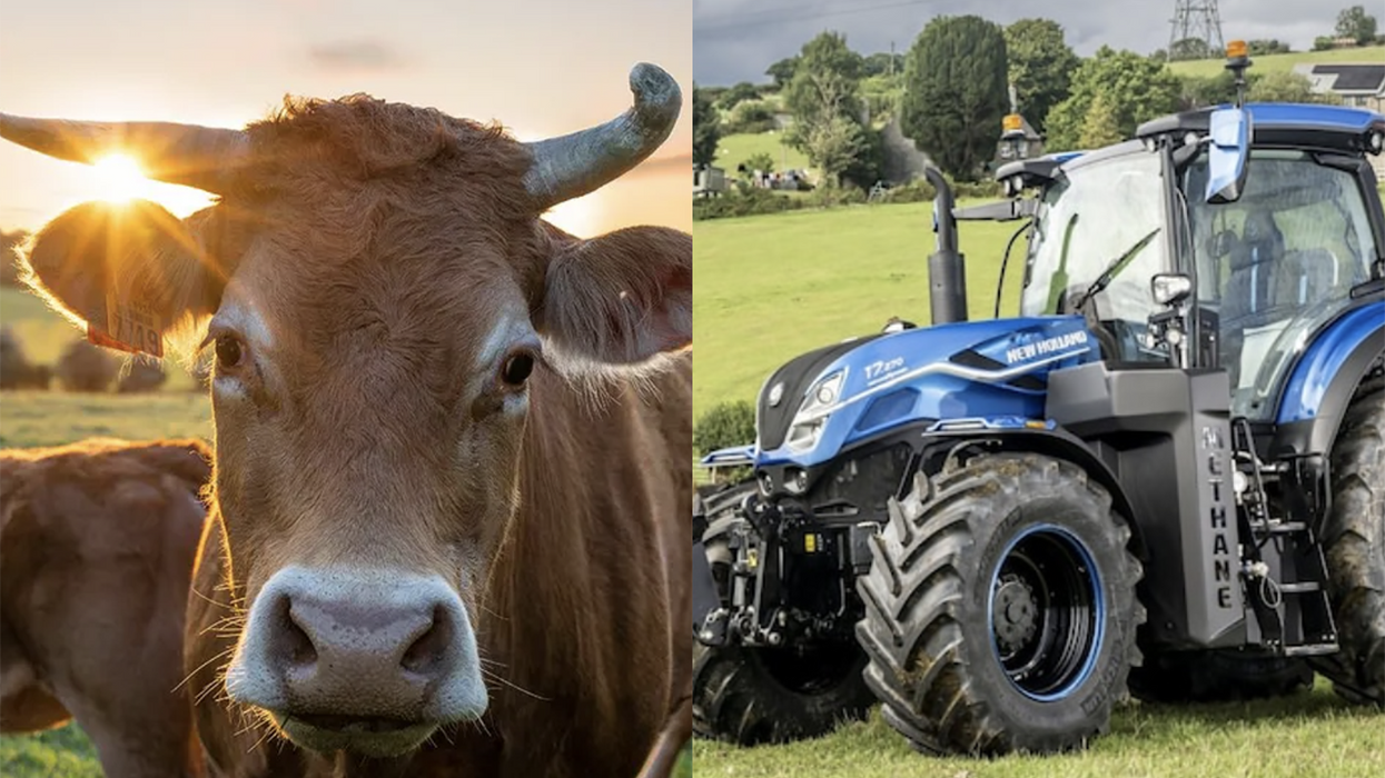 World's first cow poop-powered tractor is here to save the planet, one bovine at a time