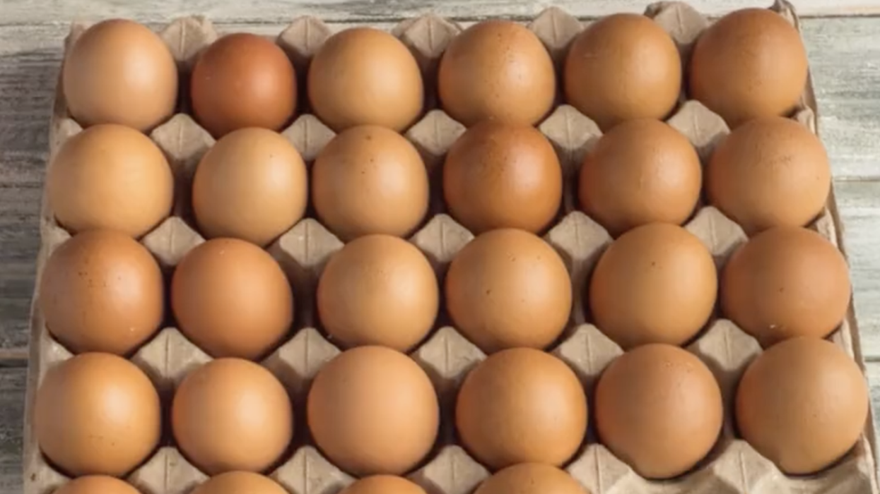Eggs have gotten so expensive, Americans are smuggling them across the border like fentanyl