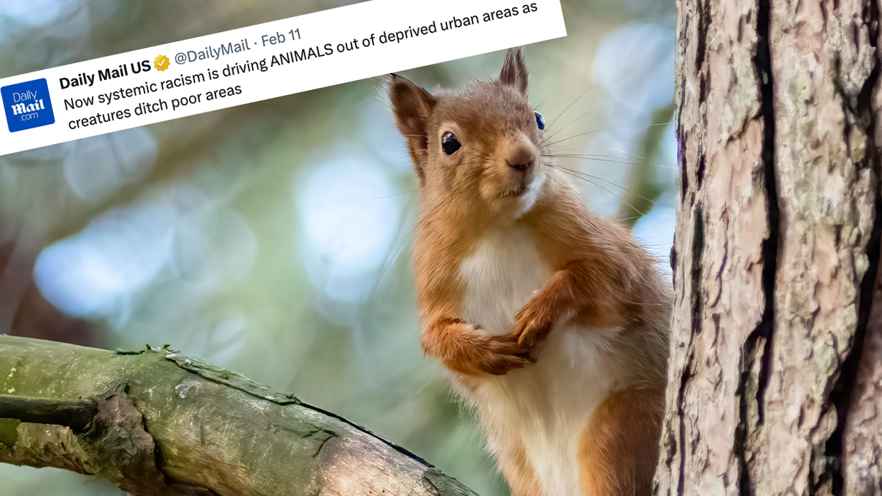 New study blames racism for animals fleeing urban decay, because we live in a clown world