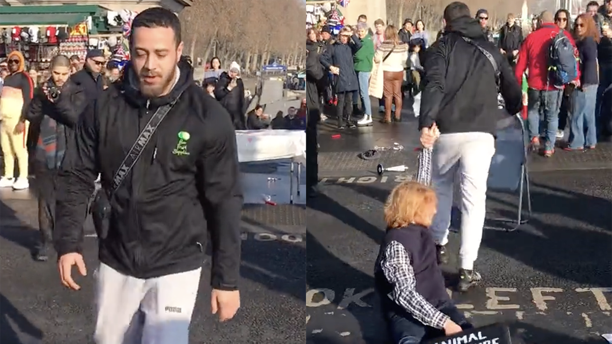 Fed up with animal rights wackadoodles blocking traffic, a hero emerges to drag protestors across the pavement