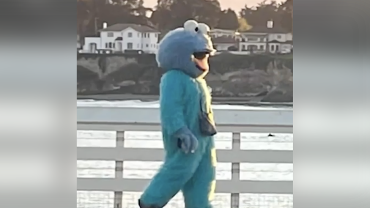 An 'evil Elmo' named Adam Sandler (different guy) is terrorizing Santa Cruz, police warn 'do not engage'