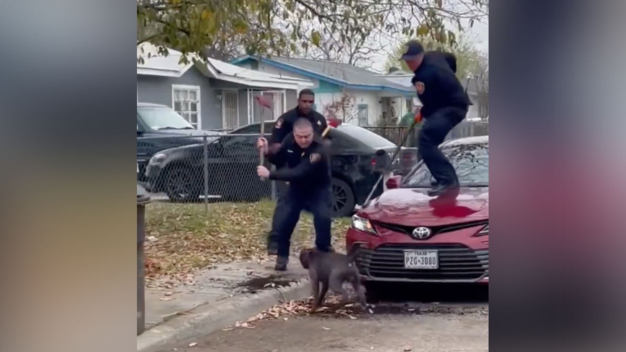 Watch: Firefighters Fight Off Pit Bulls With Pickaxes After They Killed An Elderly Man And Mauled Others