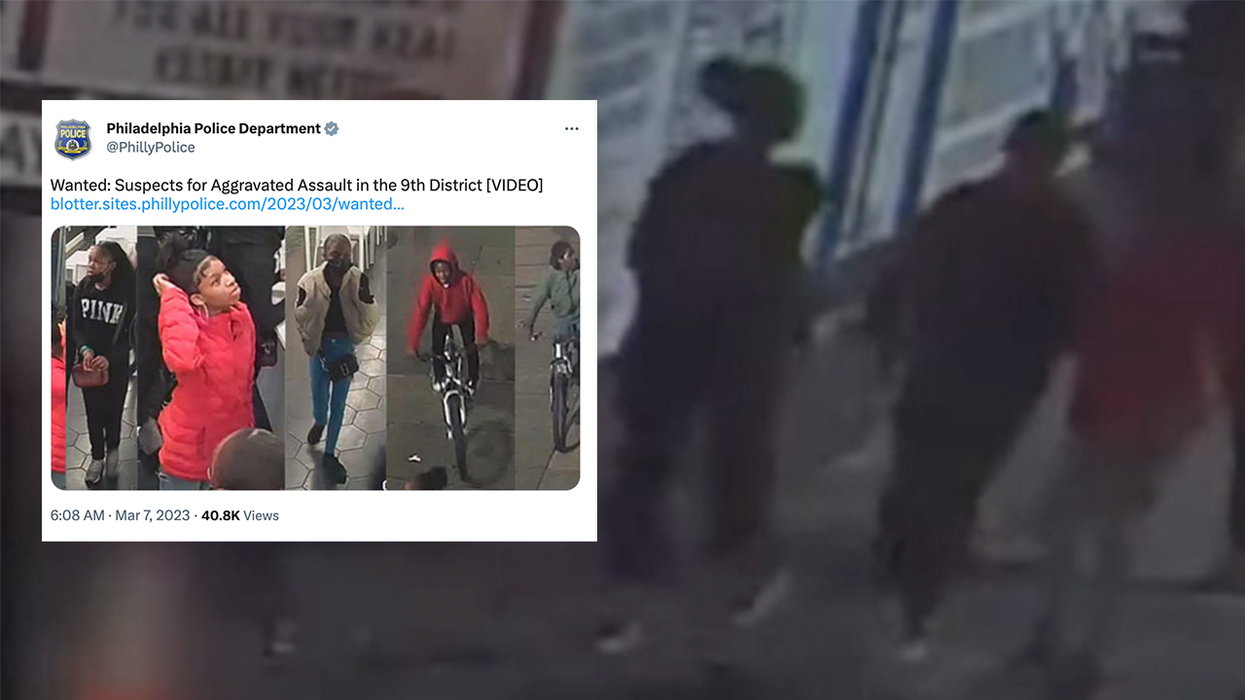 Eight minors, completely unprovoked, beat a 33-year-old white woman until she's unconscious