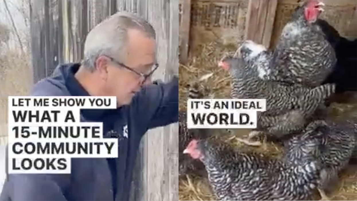 Farmer uses his chickens to illustrate progressives' terrifying plans for how we are "allowed" to live our lives