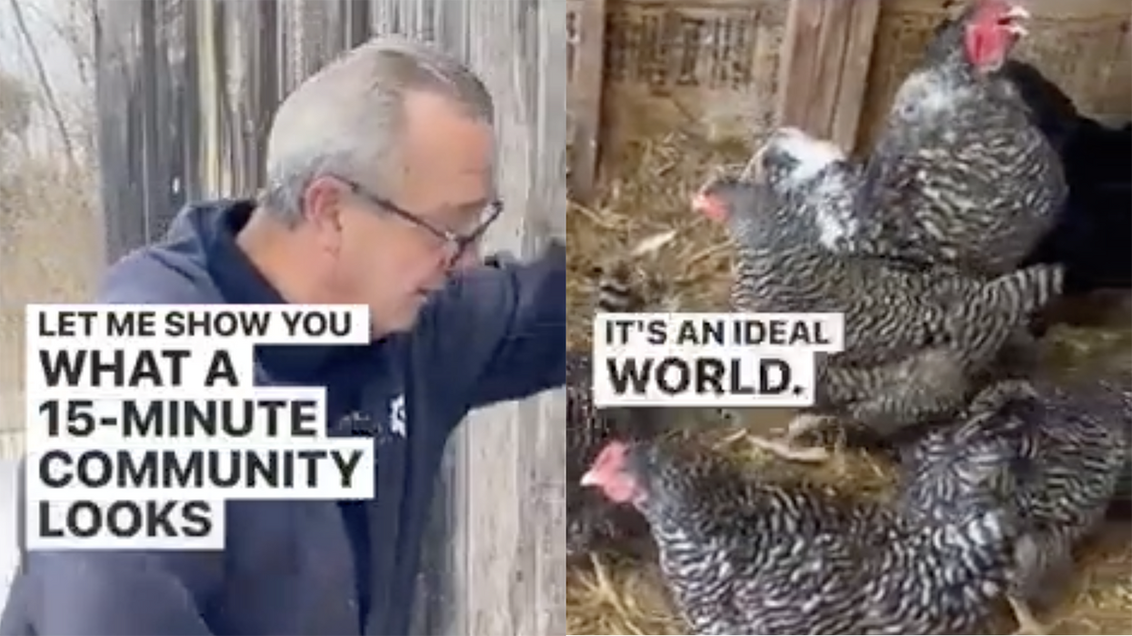 Watch: Farmer uses his chickens to illustrate the globalist utopia of a 15-minute city and it looks miserable