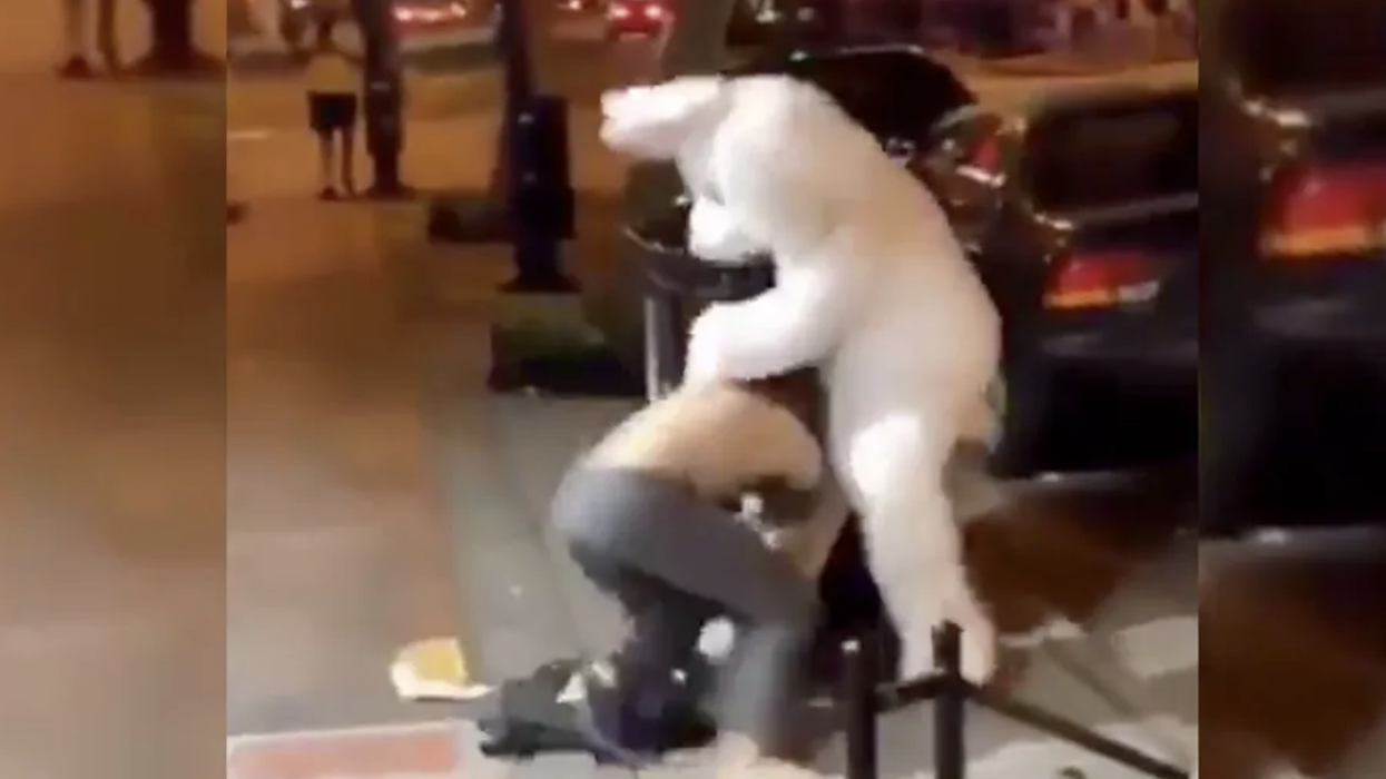 Watch: "Easter Bunny" saves woman from assault as he pummels some dude in the street