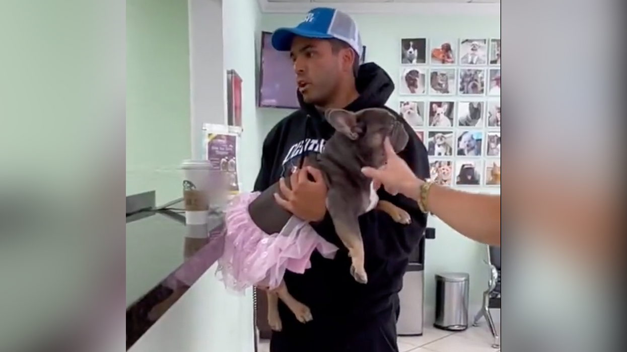 Watch: Man Asks Vet To Perform Gender Transition Surgery On His Tutu-Clad Dog In Telling Skit