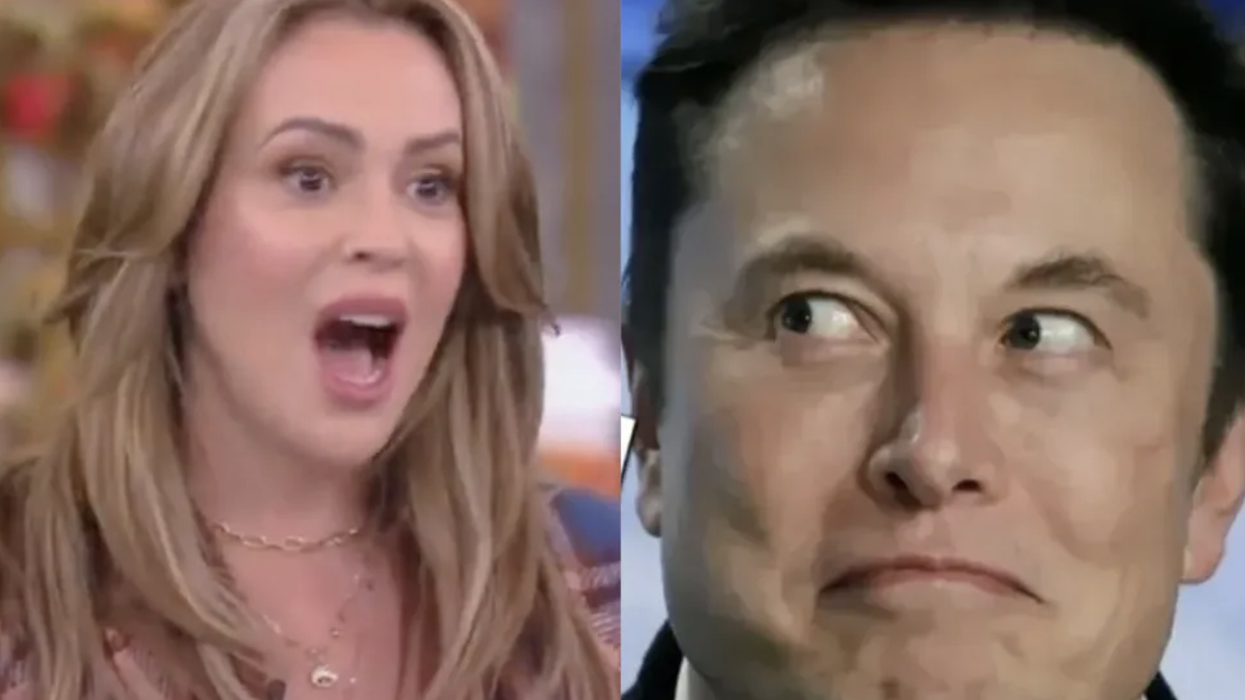 Elon Musk's response to Alyssa Milano's Twitter meltdown is s***posting perfection