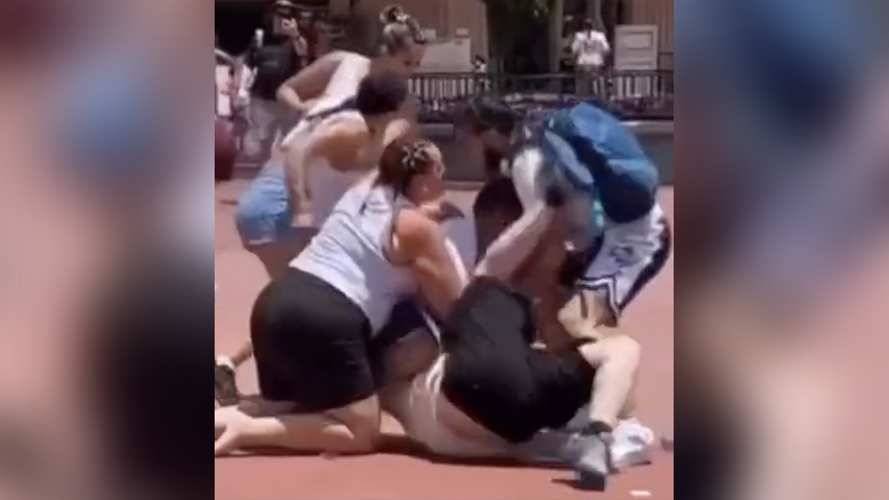 Watch: Hands get thrown and families wrestle each other to the ground over a Disney World photo op