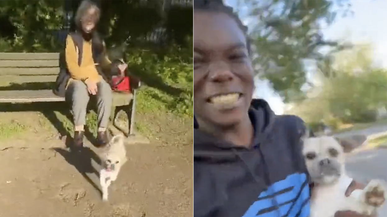 Watch: TikToker livestreams stealing old lady's dog in a park, but don't worry... it was a viral "prank"