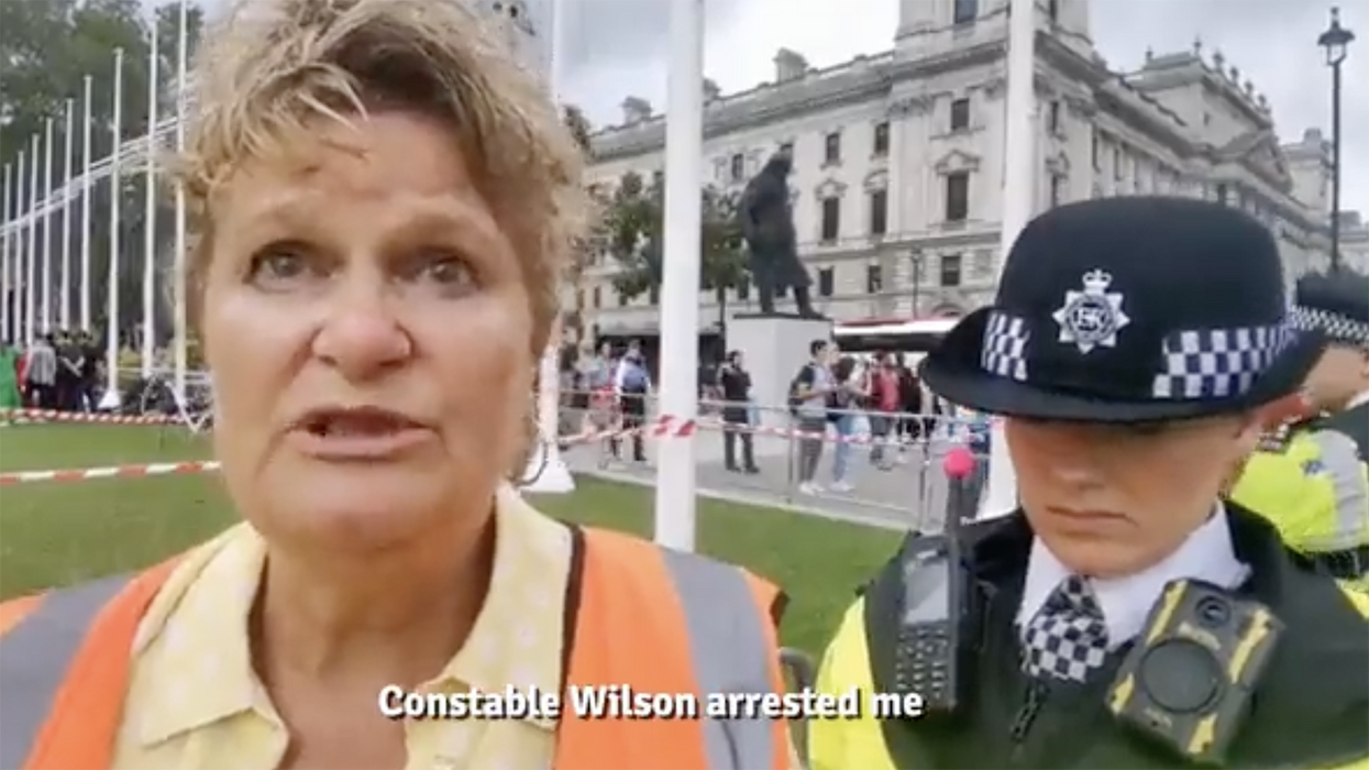 Watch: Eco-granny gets arrested for blocking traffic and performs unintentionally hilarious sob story