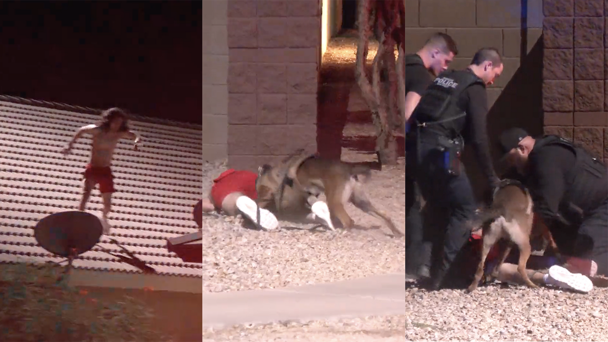 Watch: K9 Takes A Bite Out Of Some Doofus Jumping “Like A Monkey” Off Roofs And Attempting To Flee