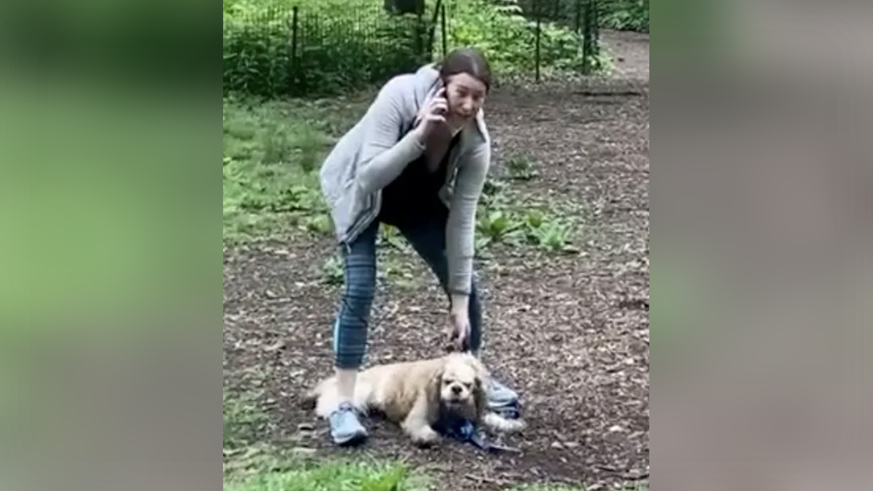 "Central Park Karen" Shares Insight Into Having Life Ruined By Internet Mob: "I still live in hiding three years after"